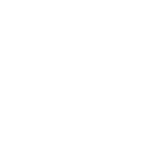 Chemie Icon