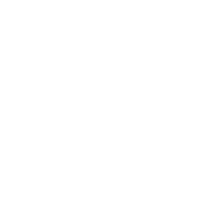 Lebensmittel Icon